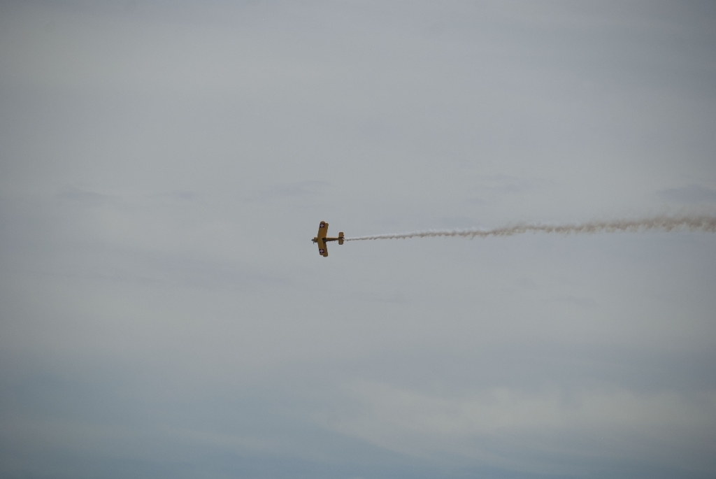 DSC_3374.jpg